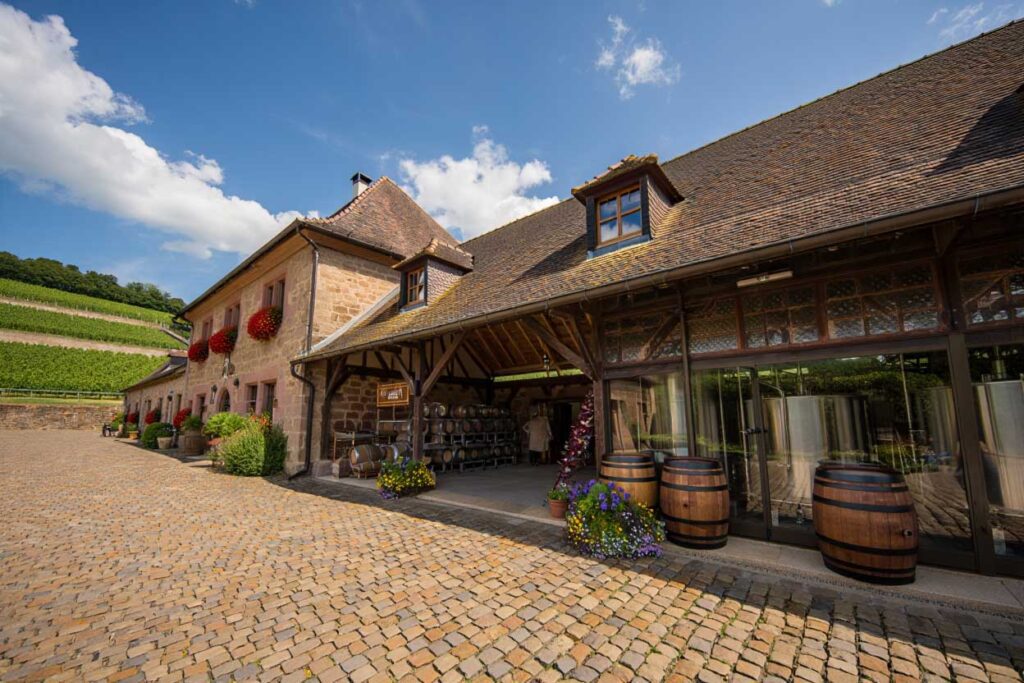 dégustation vins alsace